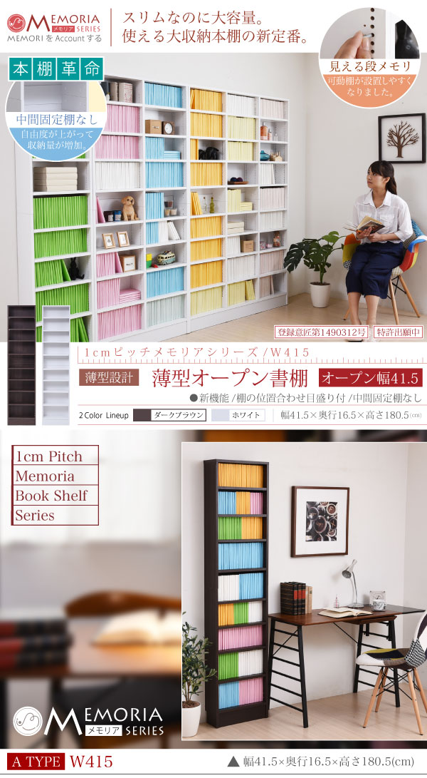 frm-0100-01