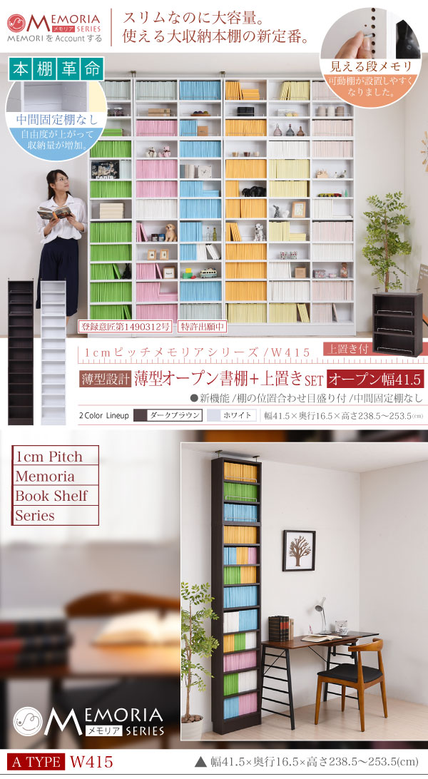frm-0100set-01