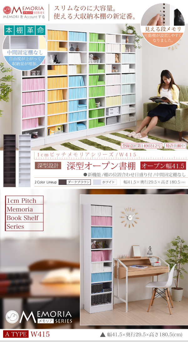frm-0106-01