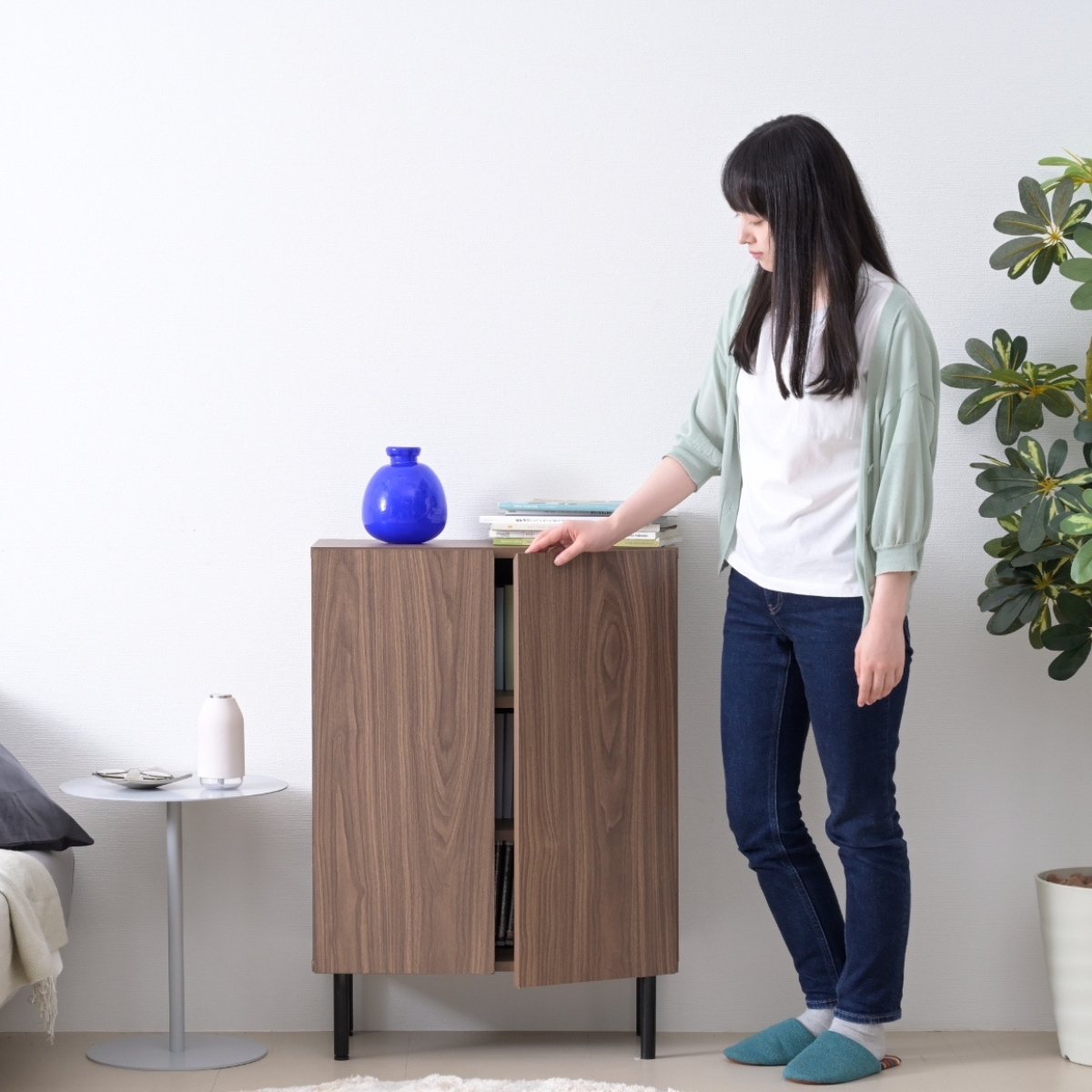 bookshelf_cabinet_fbc -0001-2