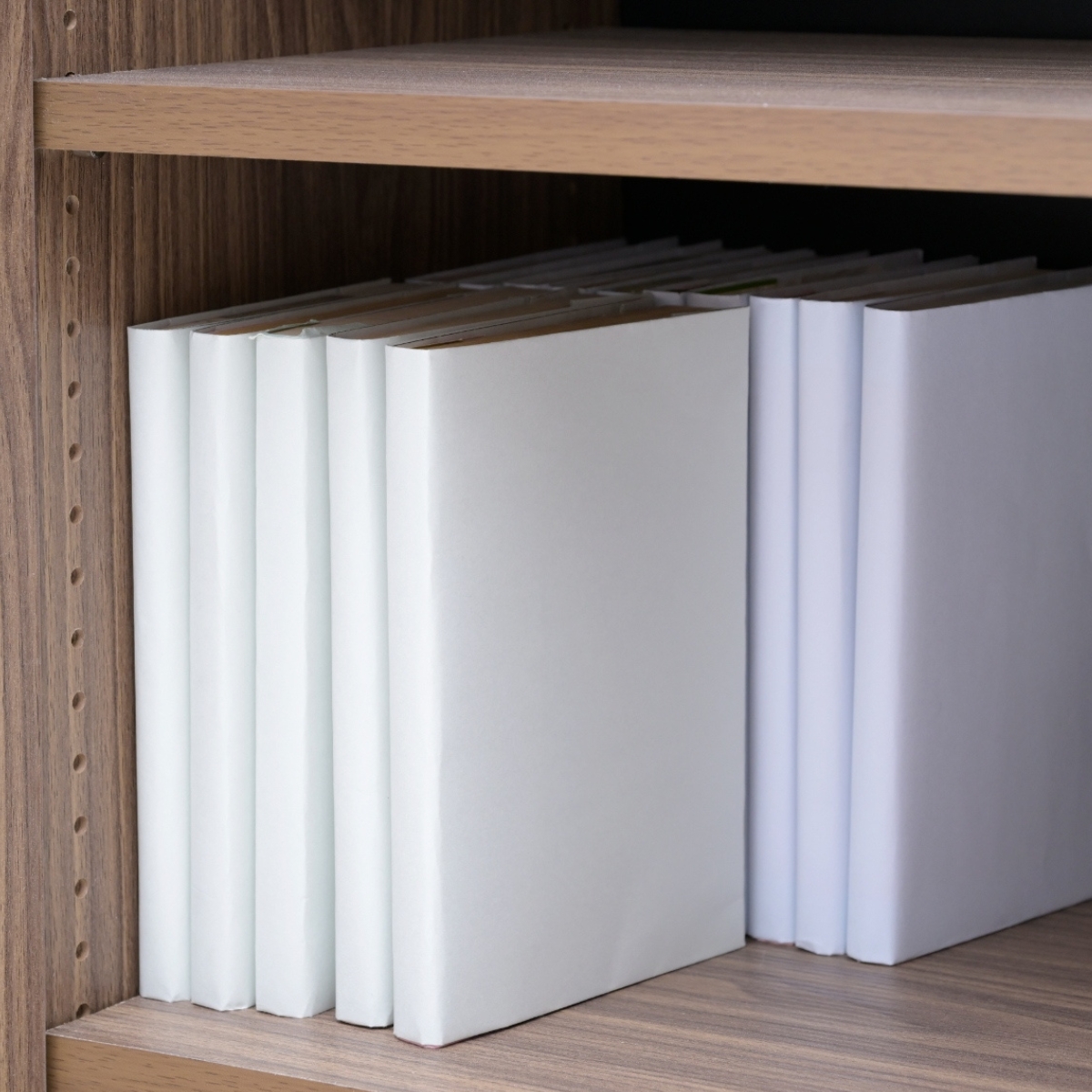 bookshelf_cabinet_fbc -0001-7