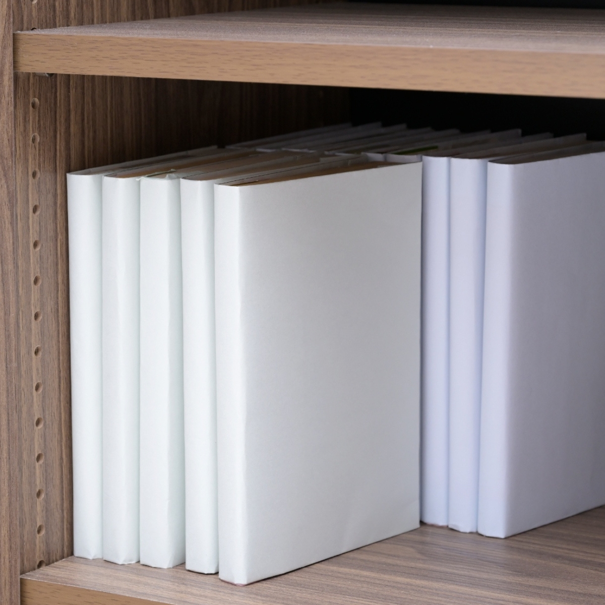 bookshelf_cabinet_fbc -0002-7