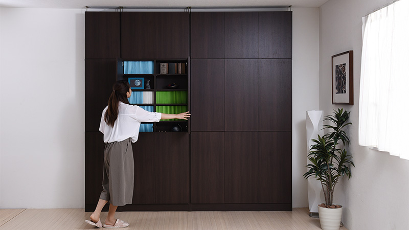 bookshelf-door
